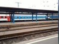 /album/kepgaleria-2013-03-08/gorilla-350-003-0-es-szlovak-kocsik-jpg/
